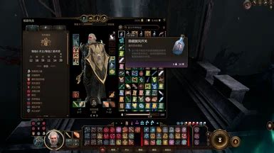 Cosmetic slots CHS at Baldur's Gate 3 Nexus .